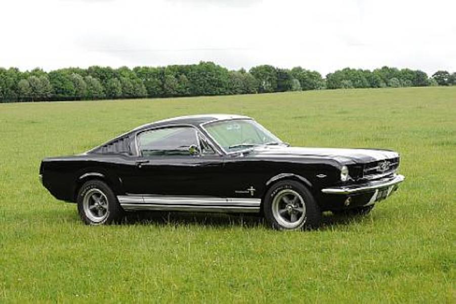 Name:  393-Ford-1965-Mustang-Fastback-5E09C384586.jpg
Views: 119
Size:  68.9 KB