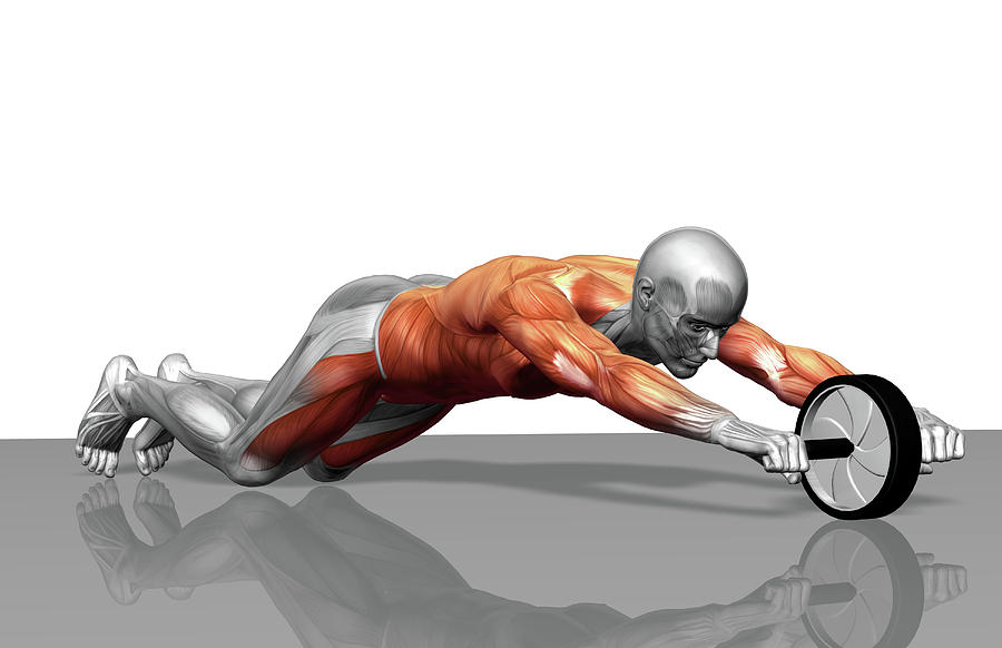 Name:  ab-wheel-actieve-spieren-1.jpg
Views: 180
Size:  102.8 KB