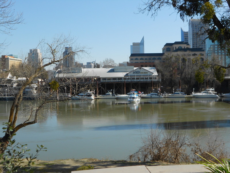 Name: DSCN0932.JPG
Views: 219
Size: 160.0 KB