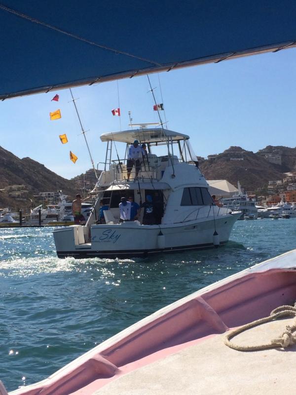 Name:  ImageUploadedByTapatalk1392678321.419040.jpg
Views: 133
Size:  65.1 KB