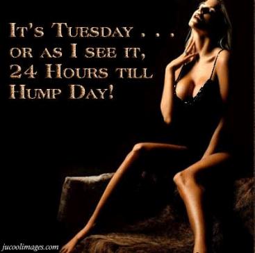 Name:  Tuesday2.jpg
Views: 169
Size:  17.5 KB