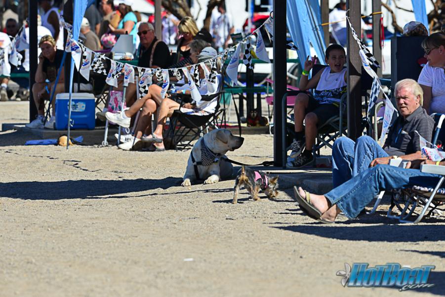Name:  DSC_5482.jpg
Views: 400
Size:  112.8 KB