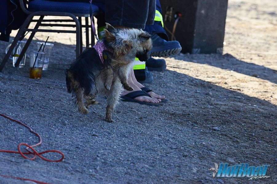 Name:  DSC_5544.jpg
Views: 391
Size:  101.2 KB