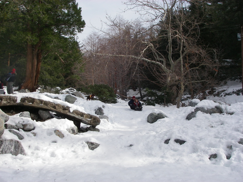 Name:  IMGP4162.JPG
Views: 652
Size:  226.6 KB