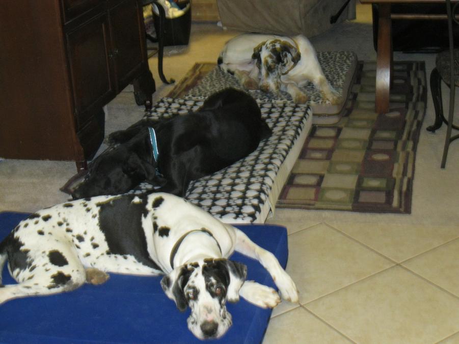 Name:  IMG_1857.jpg
Views: 148
Size:  67.6 KB
