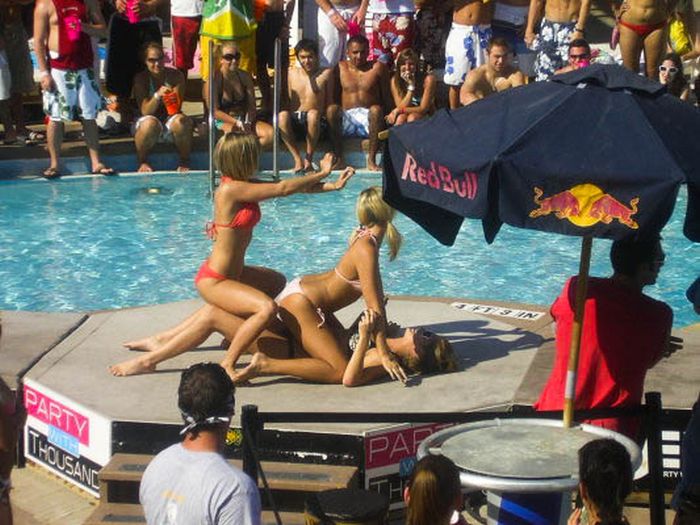 Name:  Spring break1.jpg
Views: 198
Size:  104.5 KB
