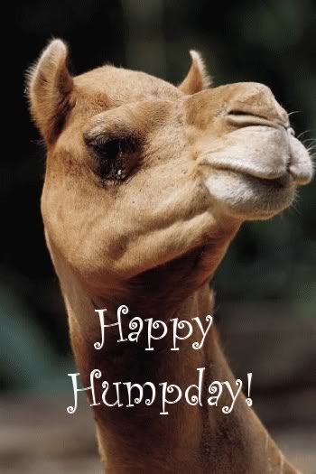 Name:  HUMP.jpg
Views: 146
Size:  33.0 KB