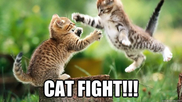 Name:  catfight2.jpg
Views: 140
Size:  63.3 KB