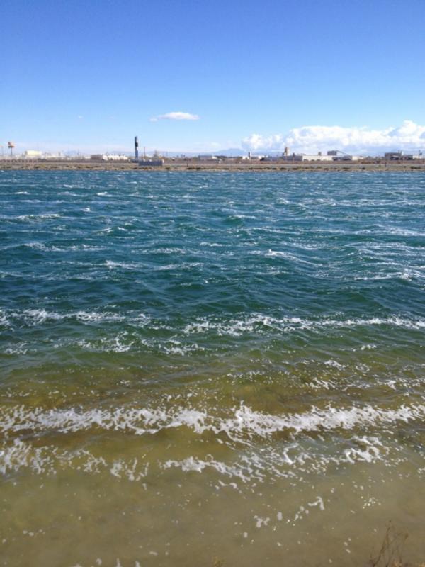 Name: ImageUploadedByTapatalk1397317015.373505.jpg
Views: 696
Size: 66.5 KB