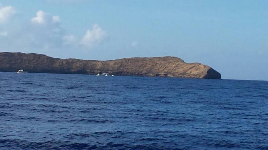 Name: uploadfromtaptalk1398391945043.jpg
Views: 216
Size: 48.2 KB