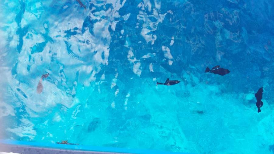 Name:  uploadfromtaptalk1398391985285.jpg
Views: 212
Size:  58.3 KB