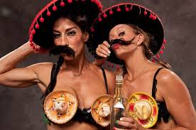Name:  cinco de mayo1.jpg
Views: 198
Size:  9.7 KB