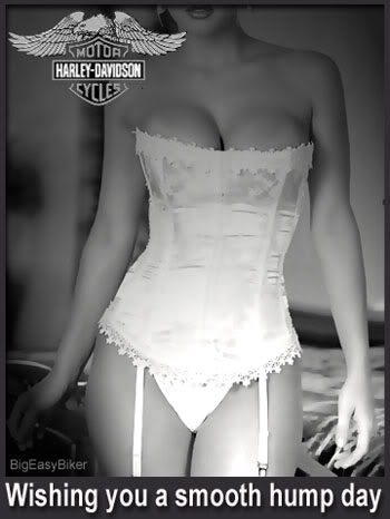 Name:  hump day 4.jpg
Views: 176
Size:  24.3 KB