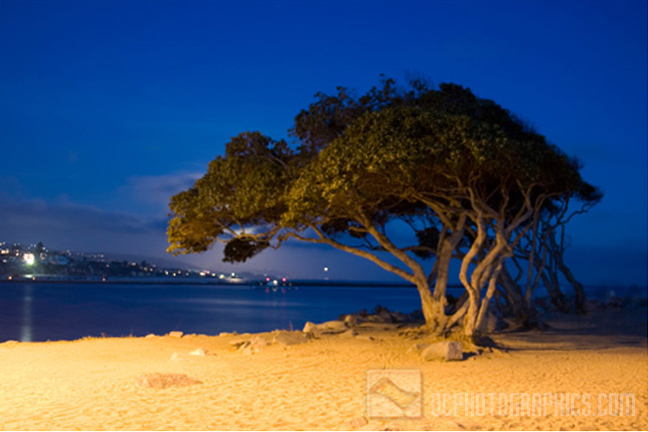 Name:  HB Favorite_28.jpg
Views: 199
Size:  214.2 KB