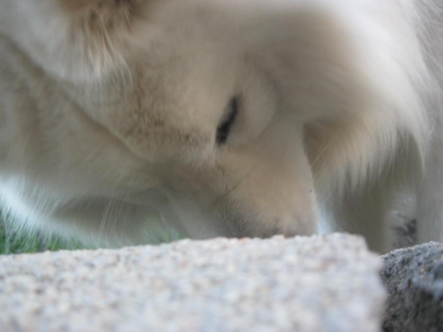 Name: IMG_3154.jpg
Views: 348
Size: 35.6 KB