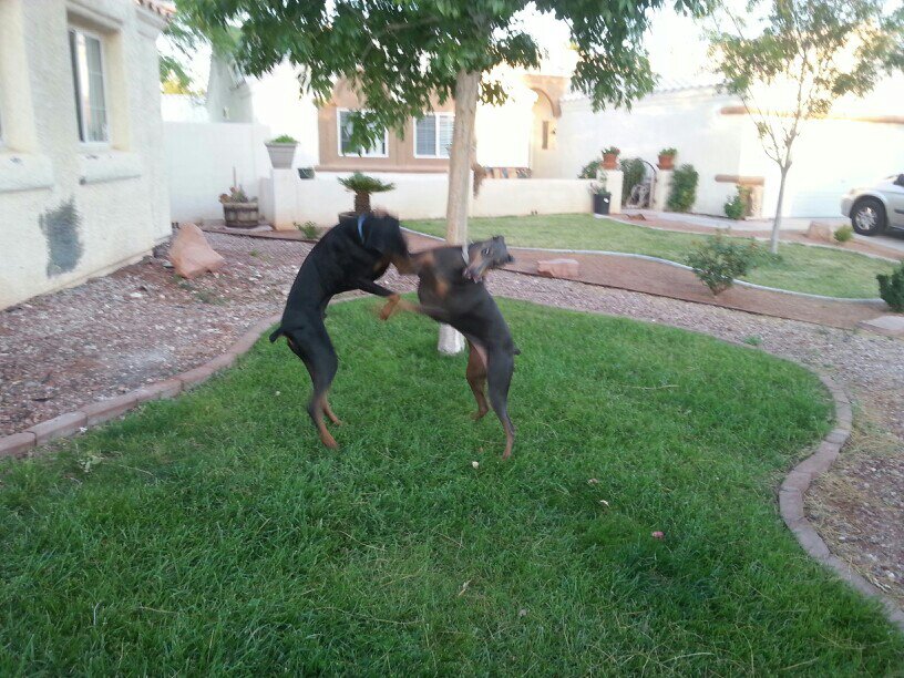 Name: uploadfromtaptalk1401911626645.jpg
Views: 249
Size: 151.8 KB