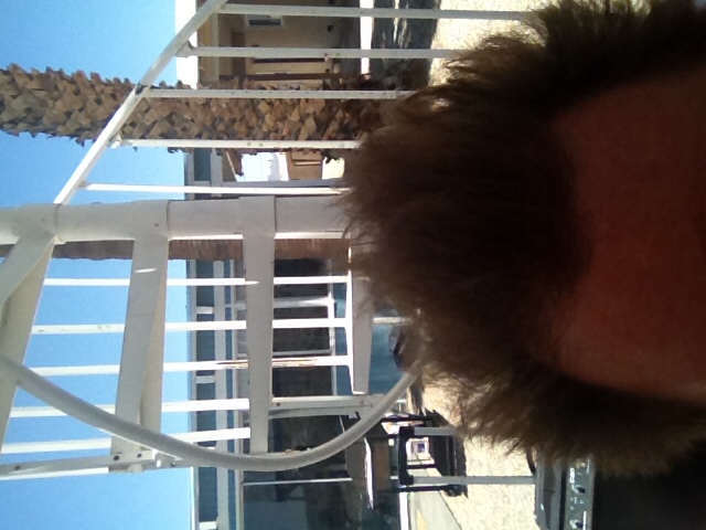 Name: ImageUploadedByTapatalk1402168609.278534.jpg
Views: 311
Size: 104.4 KB