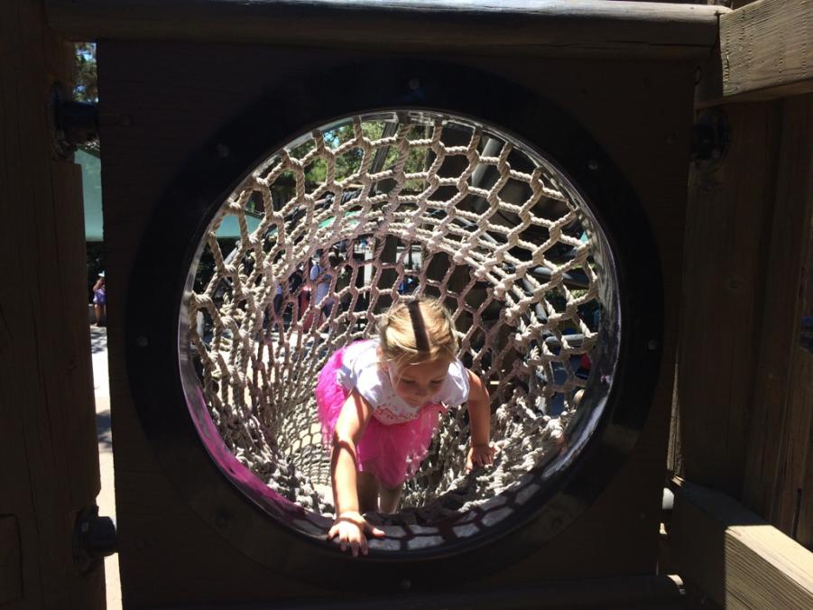 Name:  ImageUploadedByTapatalk1405107738.302919.jpg
Views: 179
Size:  78.9 KB