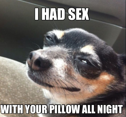 Name:  i-had-sex-with-your-pillow-all-night-long.jpg
Views: 215
Size:  46.2 KB