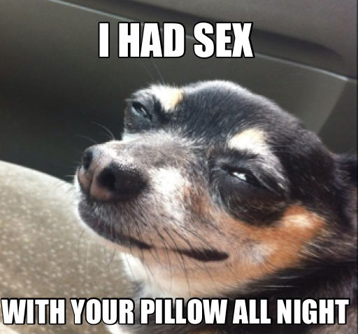 Name: i-had-sex-with-your-pillow-all-night-long.jpg
Views: 821
Size: 46.2 KB