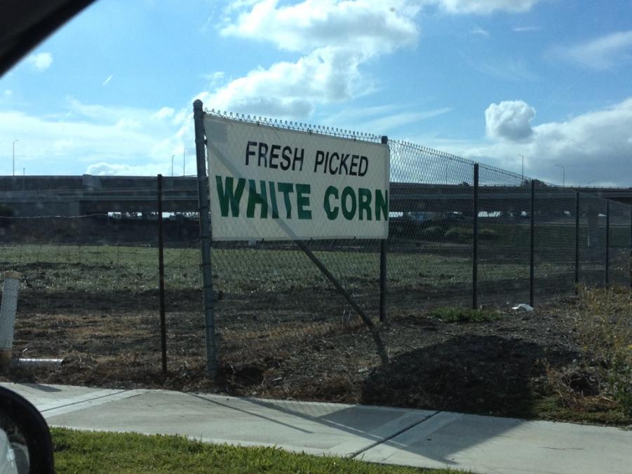 Name: ImageUploadedByTapatalk1405714356.203092.jpg
Views: 197
Size: 80.2 KB