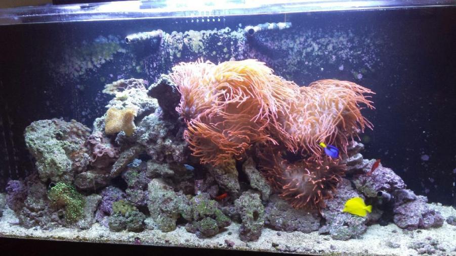 Name: 2014071995125754.jpg
Views: 193
Size: 89.8 KB