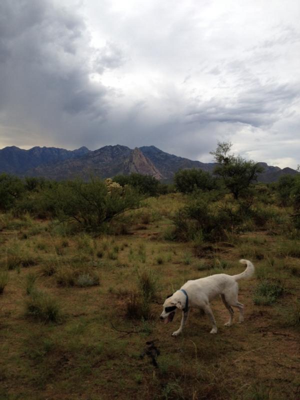 Name: ImageUploadedByTapatalk1406467265.739507.jpg
Views: 298
Size: 52.4 KB