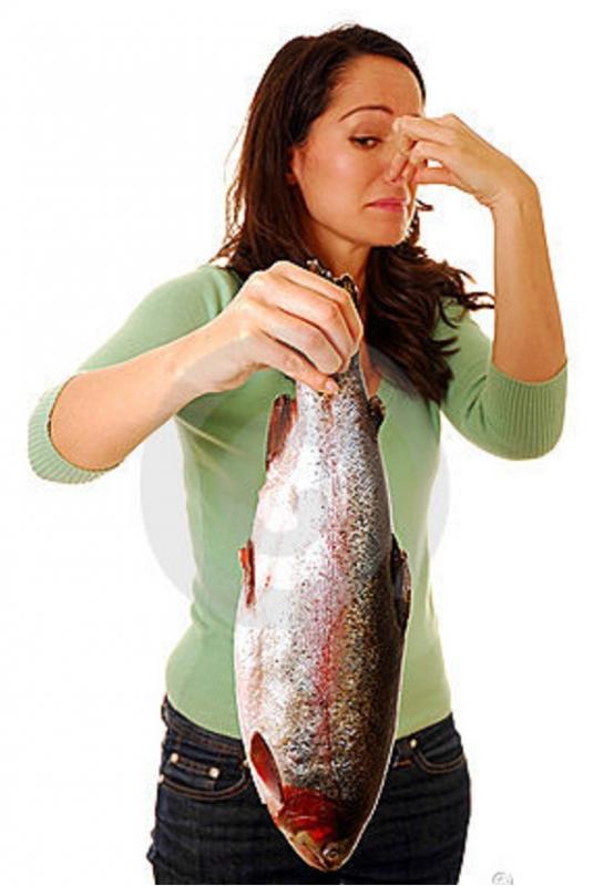 Name:  smelly-fish-thumb.jpg
Views: 124
Size:  43.7 KB