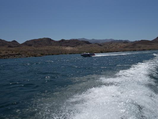 Name:  100_0989.jpg
Views: 337
Size:  27.8 KB