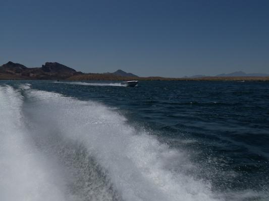 Name:  100_0994.jpg
Views: 350
Size:  19.2 KB
