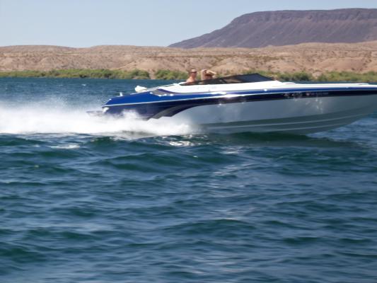 Name:  100_0995.jpg
Views: 343
Size:  29.5 KB