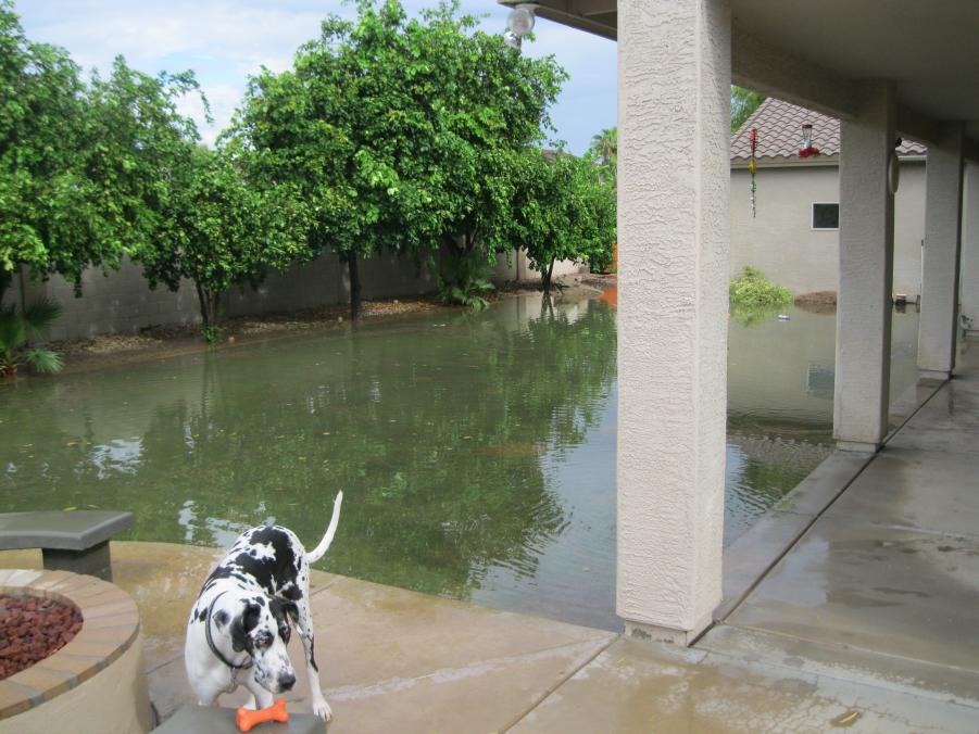 Name:  IMG_2191.jpg
Views: 172
Size:  95.1 KB