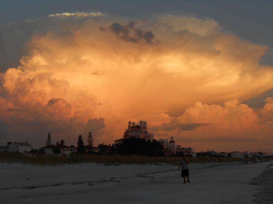 Name:  Florida, 09-2014 077.jpg
Views: 179
Size:  34.9 KB