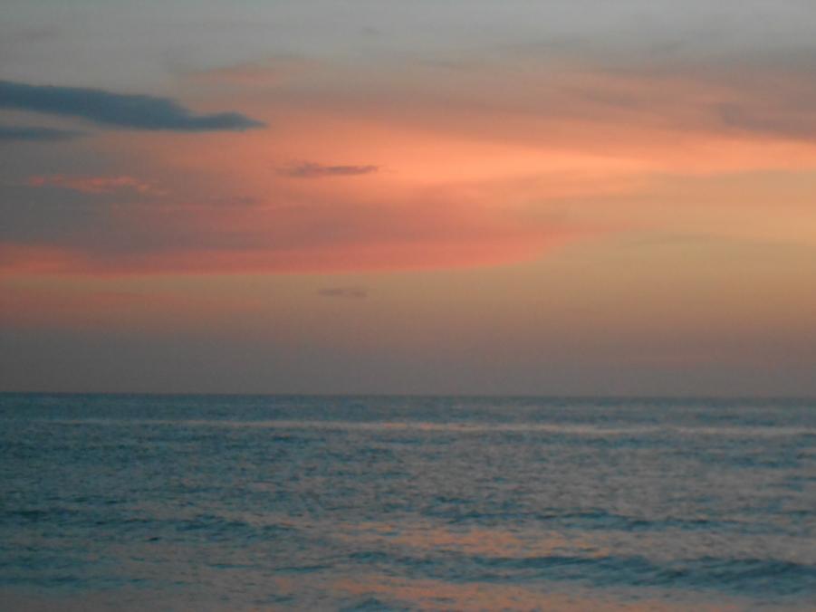 Name:  Florida, 09-2014 097.jpg
Views: 184
Size:  34.5 KB