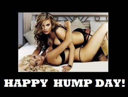 Name:  Hump day 8.jpg
Views: 163
Size:  22.3 KB