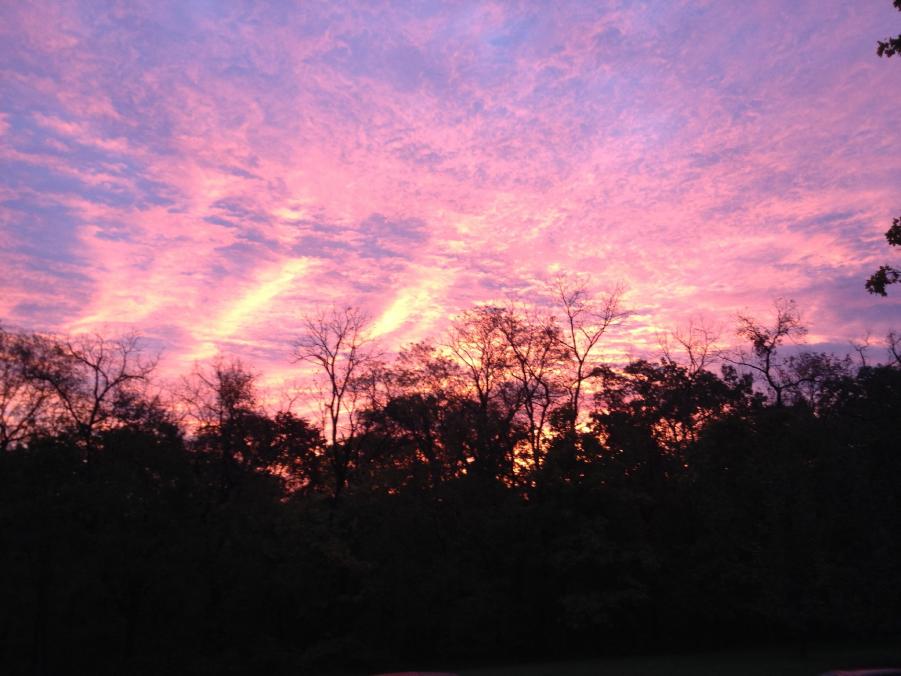 Name:  10_11 sunrise.jpg
Views: 139
Size:  69.6 KB
