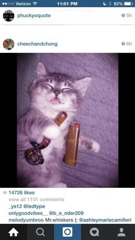 Name: ImageUploadedByTapatalk1416021515.398415.jpg
Views: 1369
Size: 43.5 KB