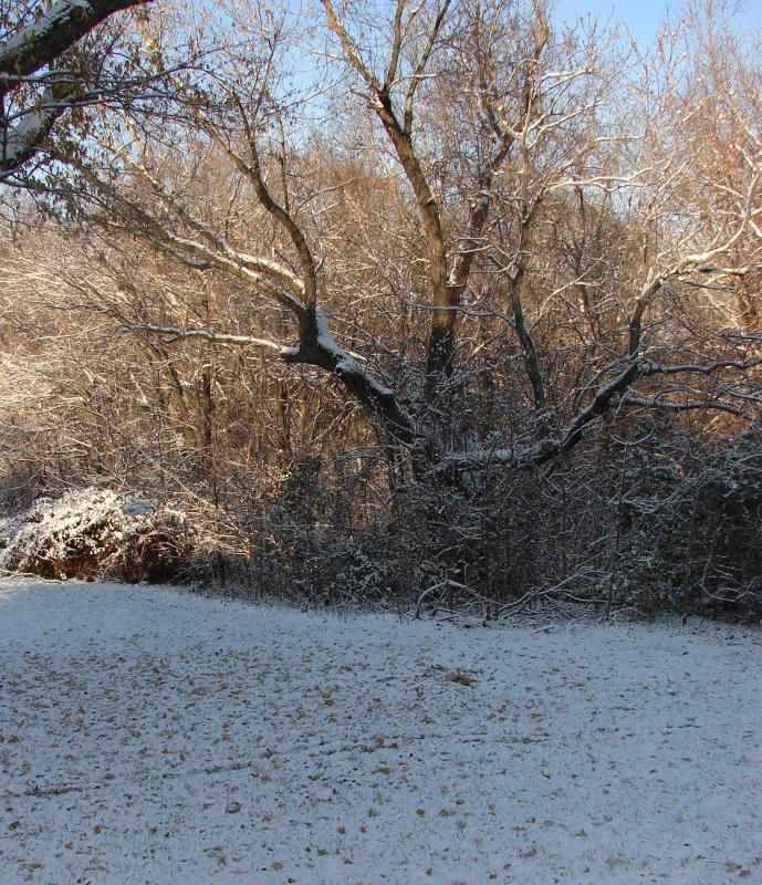 Name:  global warming 11_17.jpg
Views: 128
Size:  172.1 KB