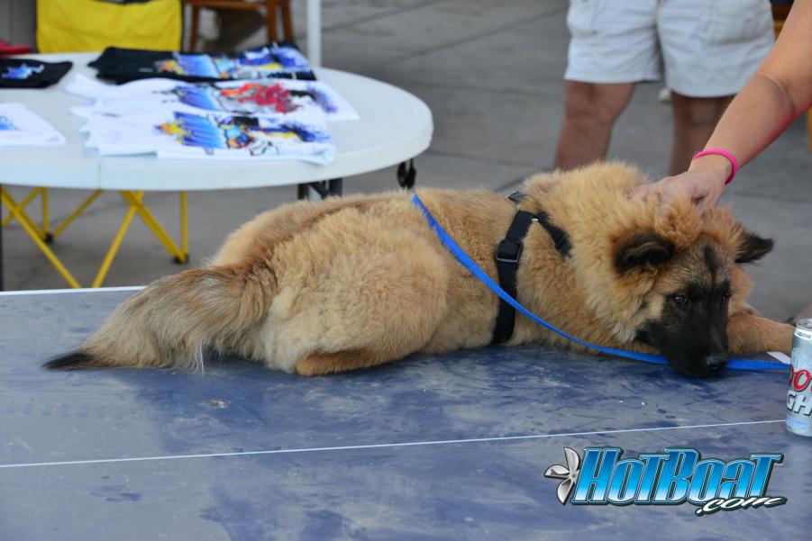 Name:  DSC_9599.jpg
Views: 302
Size:  66.5 KB