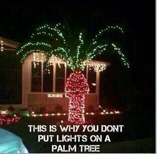 Name:  lights.jpg
Views: 203
Size:  17.6 KB