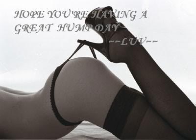 Name:  hump day.jpg
Views: 247
Size:  14.1 KB