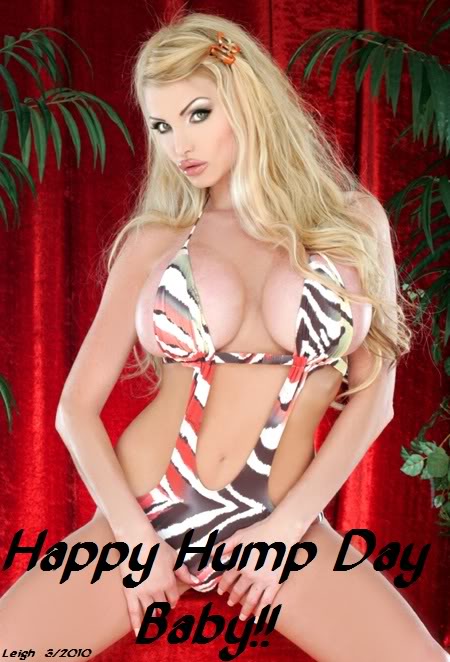 Name:  hump day3.jpg
Views: 253
Size:  63.4 KB