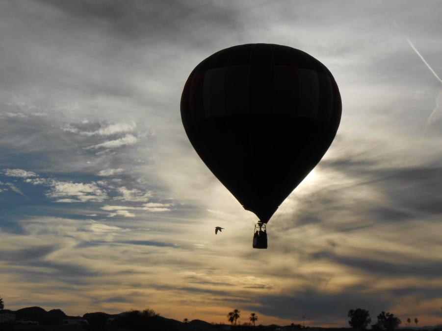 Name:  LHC Balloon Fest. 2015 016.jpg
Views: 141
Size:  40.3 KB