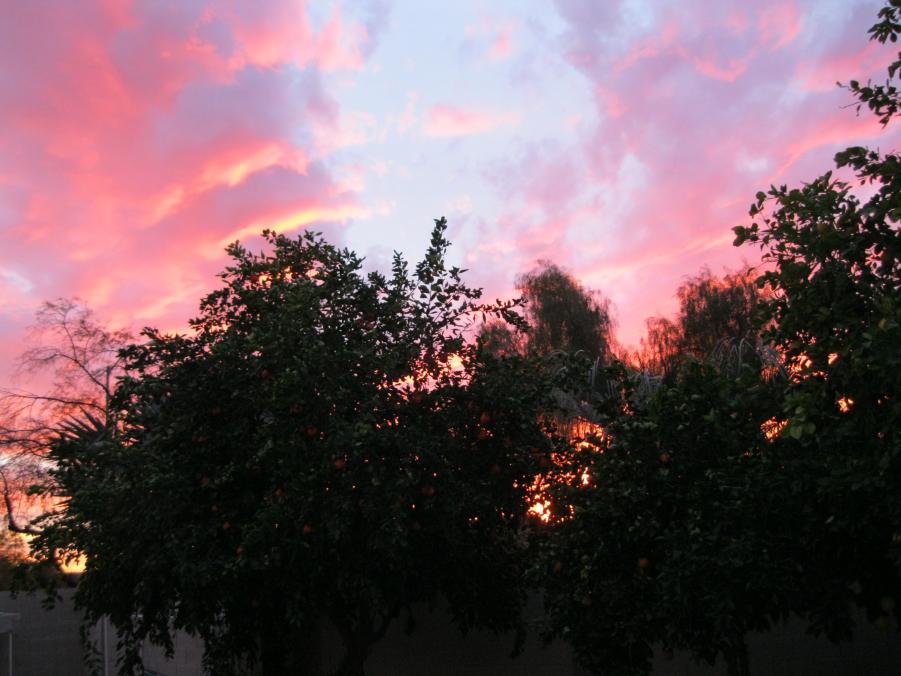 Name:  IMG_2649.jpg
Views: 125
Size:  75.4 KB
