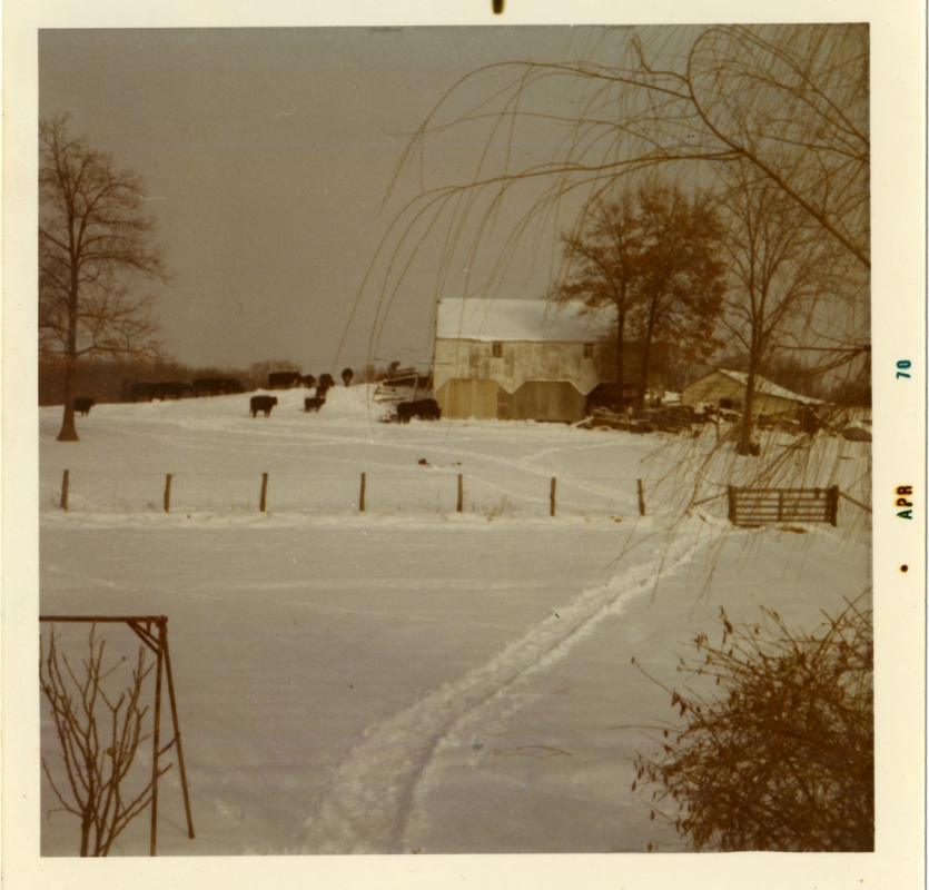 Name: bandy family scan002 small.jpg
Views: 298
Size: 66.8 KB