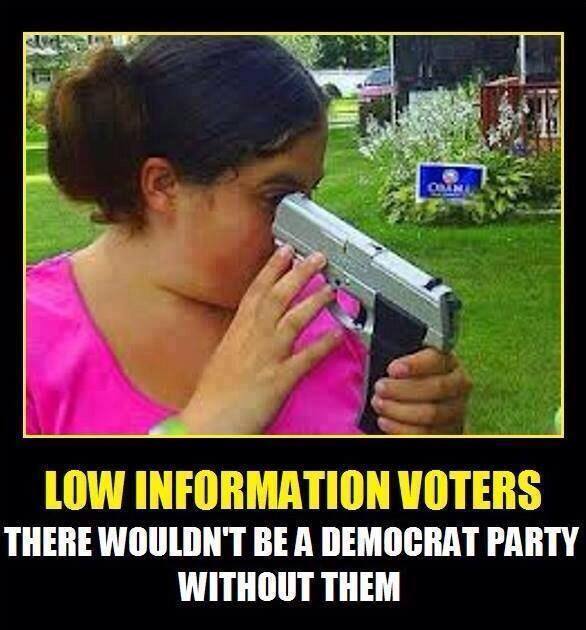 Name:  00 low info voters.jpg
Views: 226
Size:  53.4 KB
