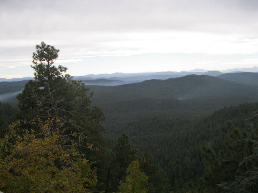 Name:  IMG_2496.jpg
Views: 303
Size:  51.2 KB