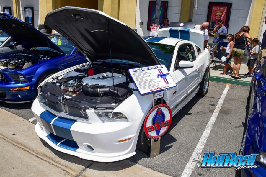 Name:  DSC_0493.jpg
Views: 347
Size:  105.7 KB