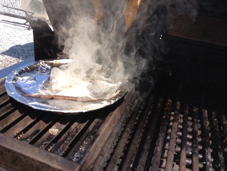 Name:  4th of july grill2.jpg
Views: 122
Size:  69.6 KB