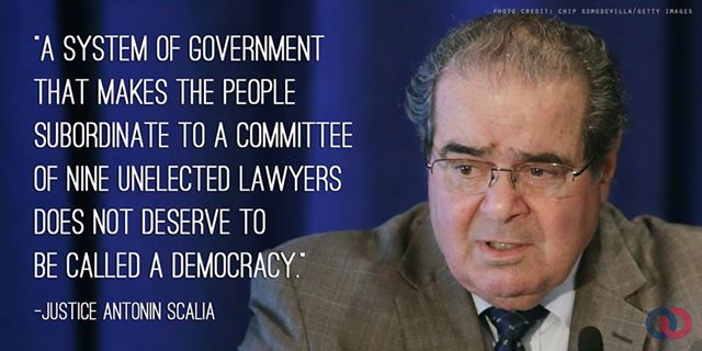 Name:  scalia.jpg
Views: 331
Size:  39.5 KB